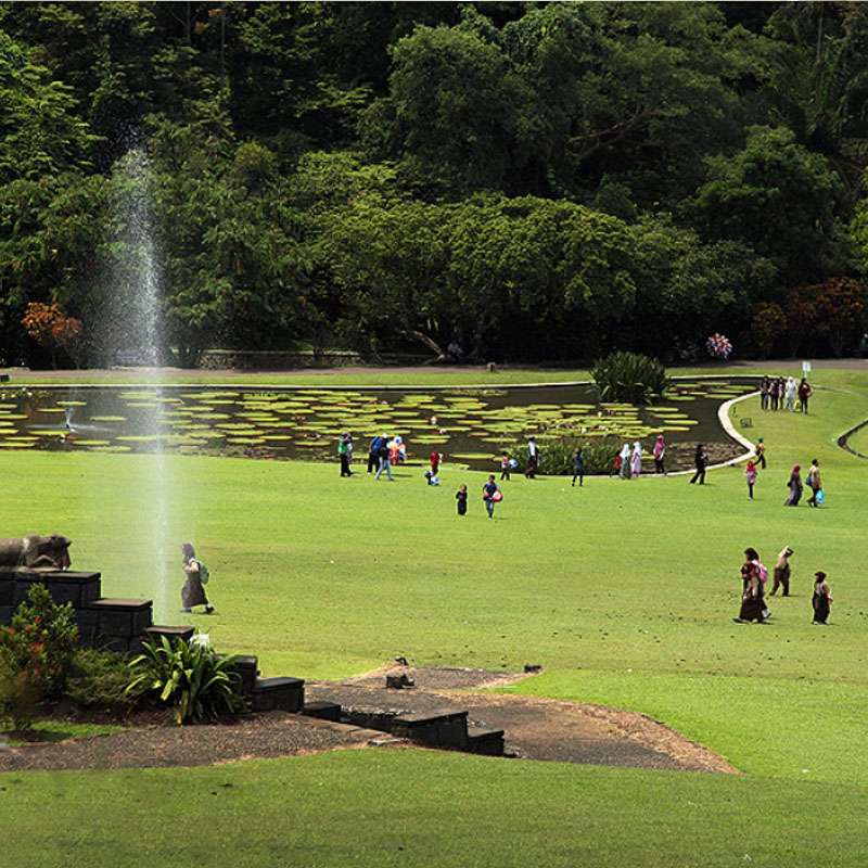 3 Tempat Wisata di Bogor yang Murah yang Tidak Kalah Bagus